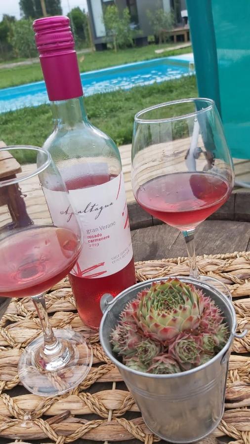Tiny Colchagua Cabanas Y Padel Apartman Santa Cruz Kültér fotó