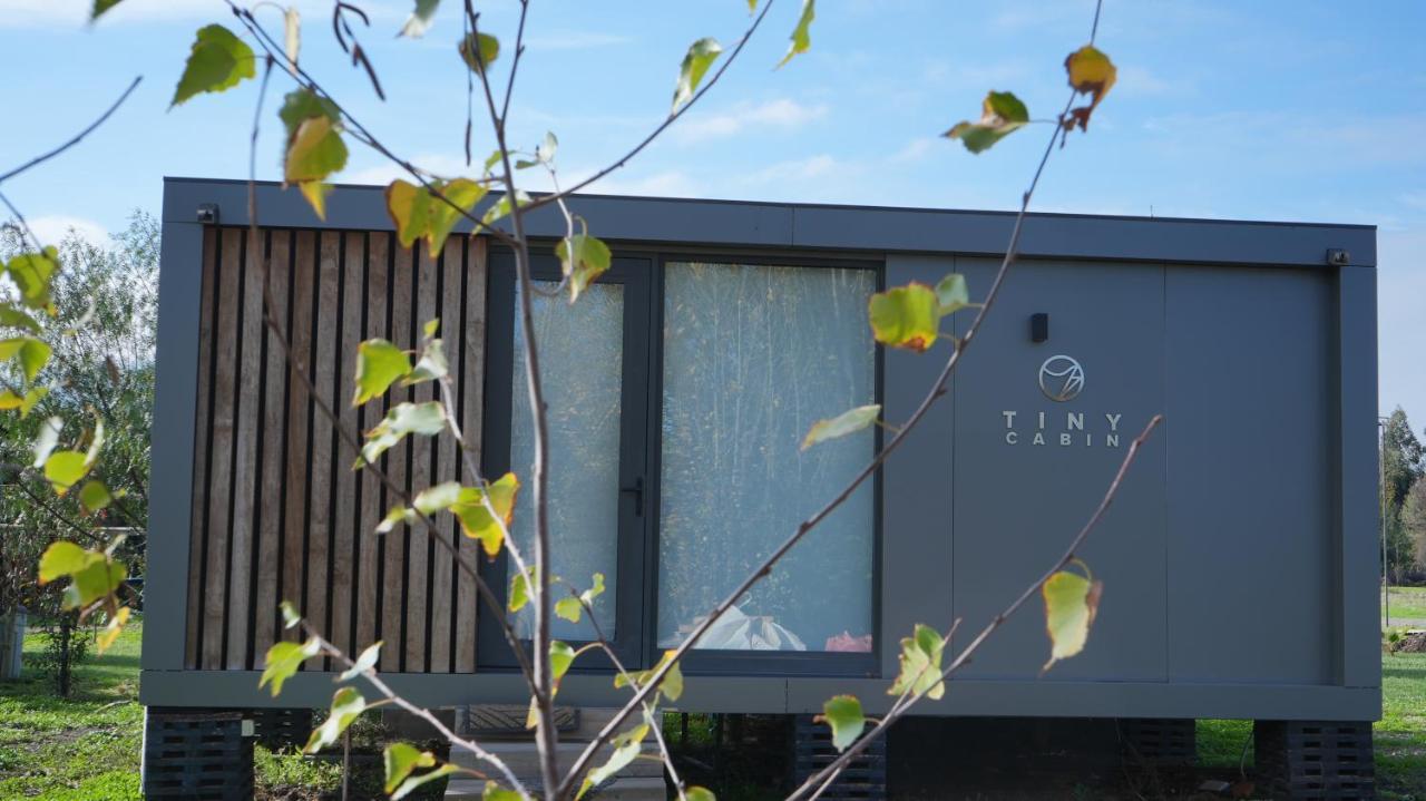 Tiny Colchagua Cabanas Y Padel Apartman Santa Cruz Kültér fotó